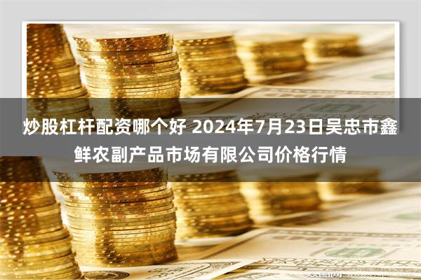 炒股杠杆配资哪个好 2024年7月23日吴忠市鑫鲜农副产品市场有限公司价格行情