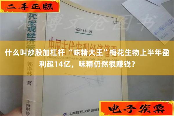 什么叫炒股加杠杆 “味精大王”梅花生物上半年盈利超14亿，味精仍然很赚钱？