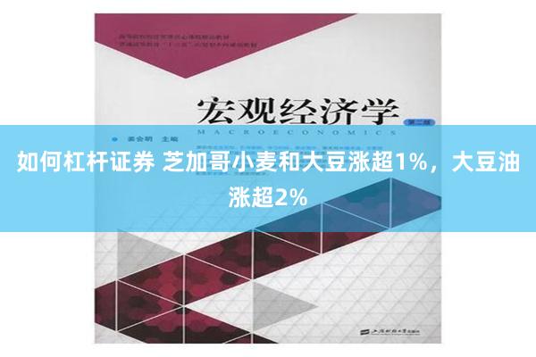 如何杠杆证券 芝加哥小麦和大豆涨超1%，大豆油涨超2%