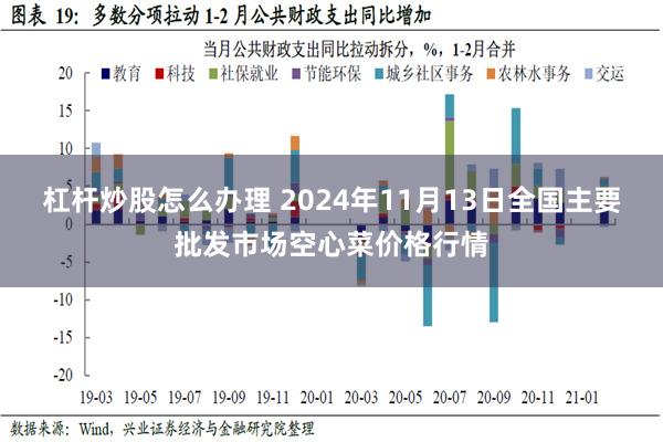 杠杆炒股怎么办理 2024年11月13日全国主要批发市场空心菜价格行情