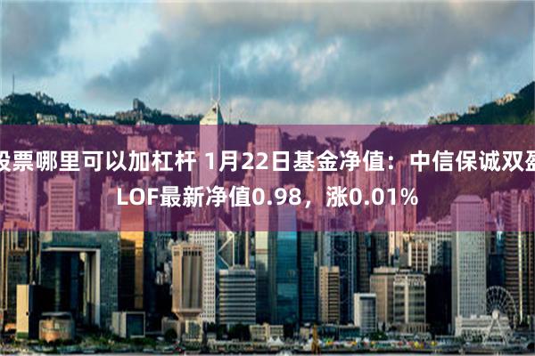 股票哪里可以加杠杆 1月22日基金净值：中信保诚双盈LOF最新净值0.98，涨0.01%